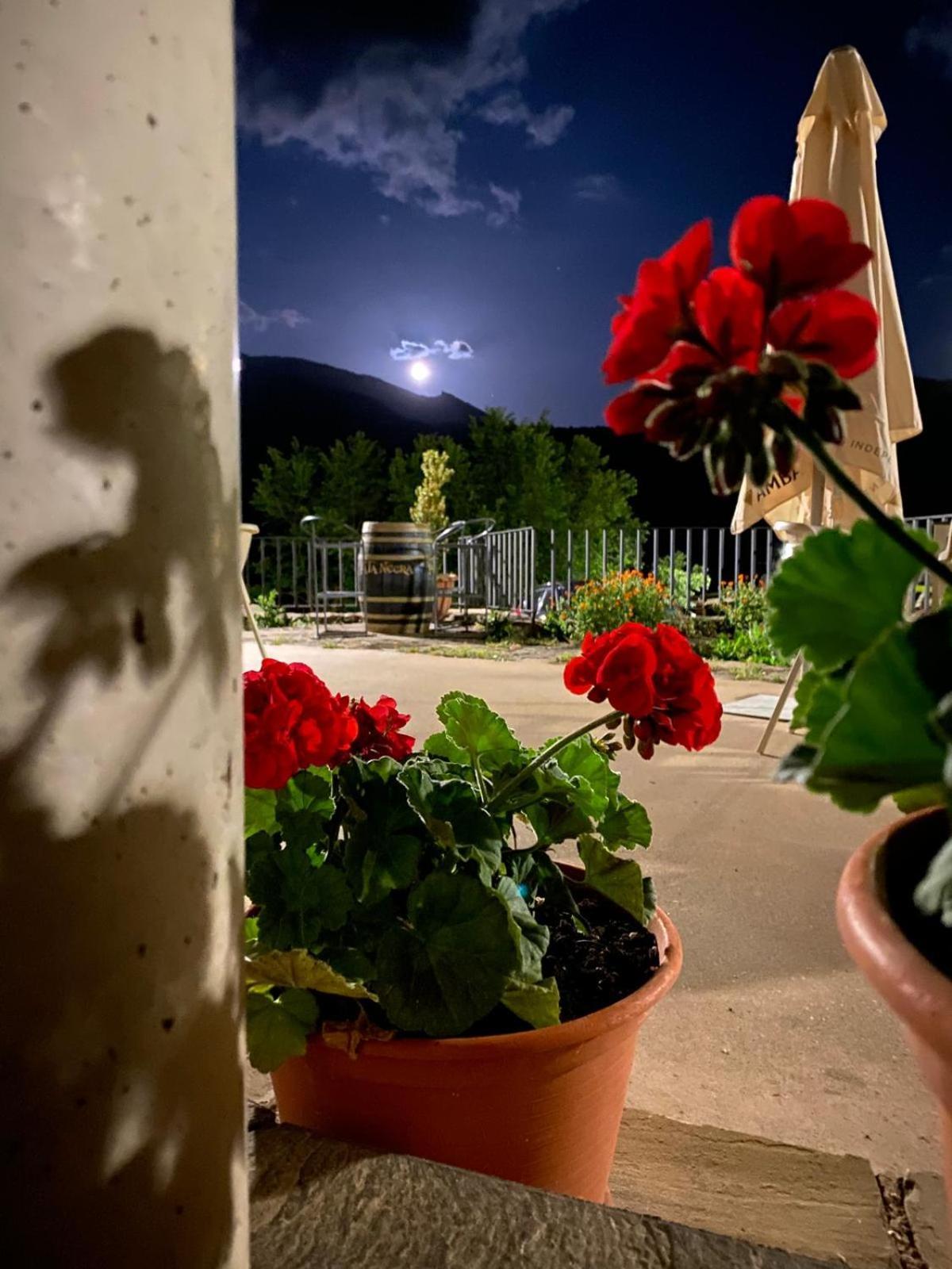 Hotel Guara Inluka Las Almunias Kültér fotó