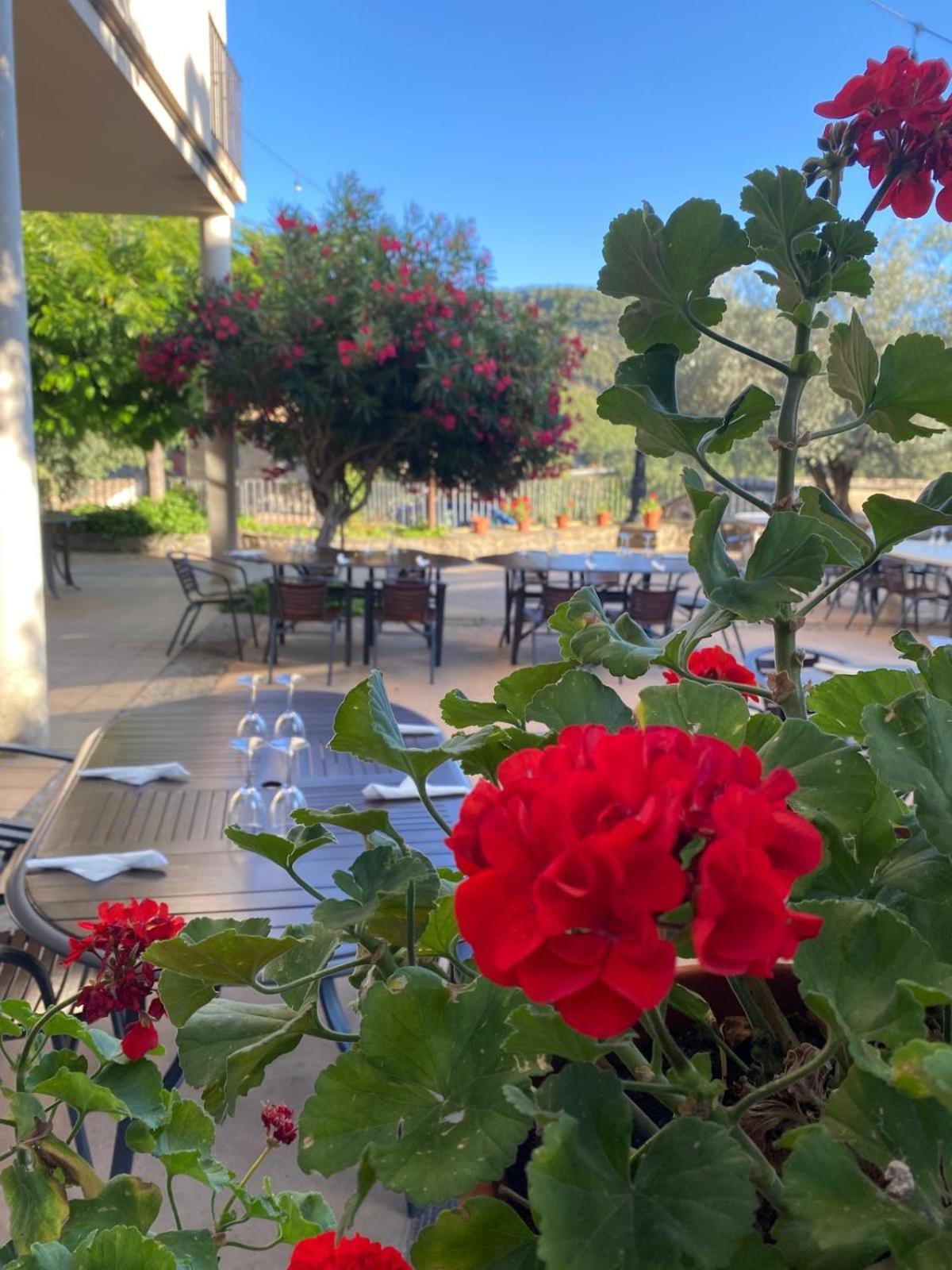 Hotel Guara Inluka Las Almunias Kültér fotó